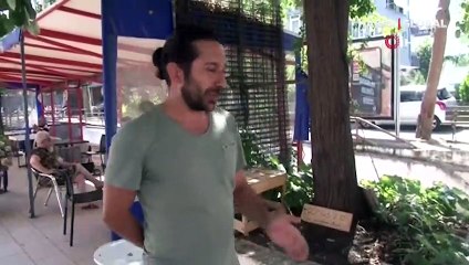 Üsküdar'da bir şahıs sokak kedisini yerden yere vurdu!