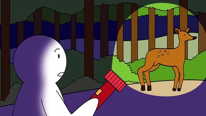 7 Common Dream Meanings You Should NEVER Ignore!