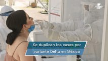Casos positivos a variante Delta pasaron de 31% a 67% de prevalencia en México: OPS