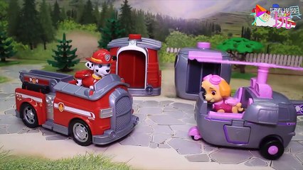 The doctor used a deforming magnet to turn Maomao into a frog, and the Wang Wang team rescued Maomao!