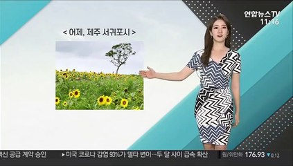 [날씨톡톡] 무더위 속 '랜선 휴가'…전국 낮 35도 안팎