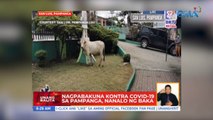 Nagpabakuna kontra COVID-19 sa Pampanga, nanalo ng baka | UB