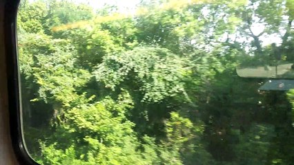 Trinity Railway Express towards Forth Worth Central Station