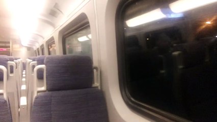 Back on the Trinity Railway Express after a long day at Dallas Forth Worth Zoo