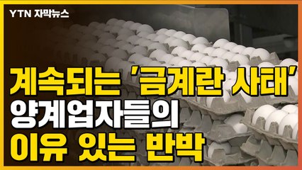 [자막뉴스] 계속되는 '금계란 사태'...양계업자들의 이유 있는 반박 / YTN