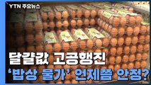 [더뉴스-더인터뷰] 달걀값 6개월째 고공행진...장바구니 물가 언제쯤 안정? / YTN