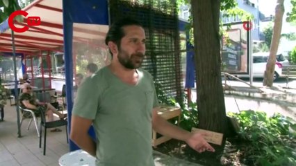 Üsküdar’da sokakta yaşayan kedi yerden yere vurularak öldürüldü