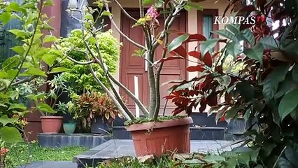 Begini Kondisi Kesehatan Heryanty, Anak Akidi Tio Usai Diperiksa Dokter Forensik