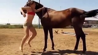 Even The Horse Showed It's Sympathy For The Girl Who Just Couldn't Climb Up