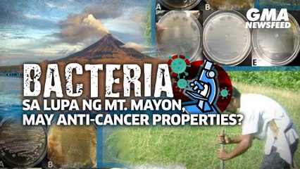 Bacteria sa lupa ng Mt. Mayon, may anti-cancer properties? | GMA News Feed
