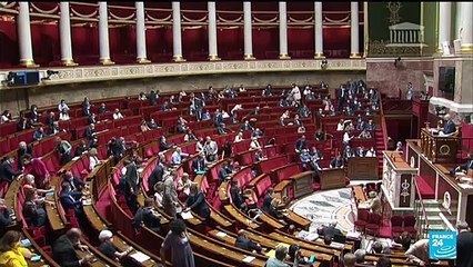 French Constitutional Council expected to rule on special COVID-19 virus passes