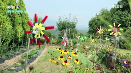 한국기행 - Korea travel_바람이 불어오는 곳 4부- 바람처럼 가볍게_#001