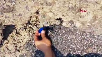 Manavgat yangınında mucize kurtuluş