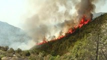 Son dakika haberi... Manavgat İlçesine bağlı Karaisa Mahallesinde orman yangınını söndürme çalışmaları devam ediyor (3)