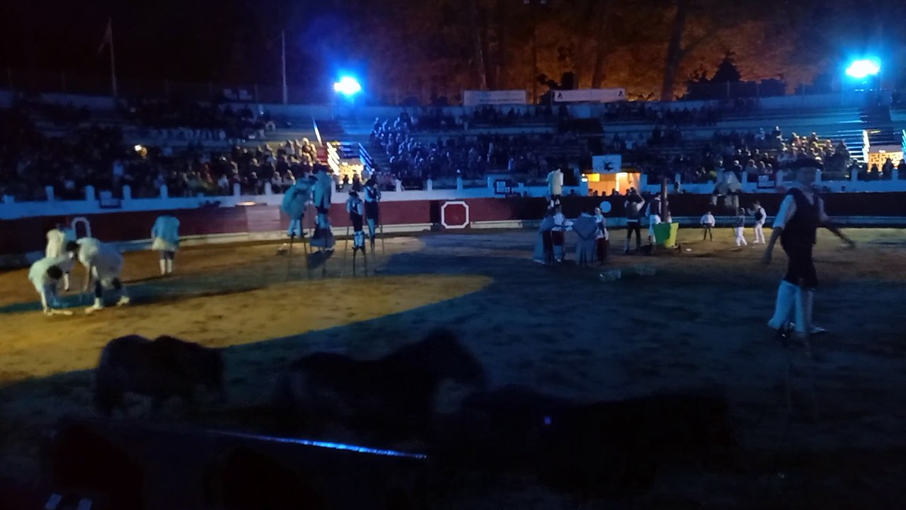 SAINT-VINCENT-DE-TYROSSE. Spectacle Landes Emotions 2