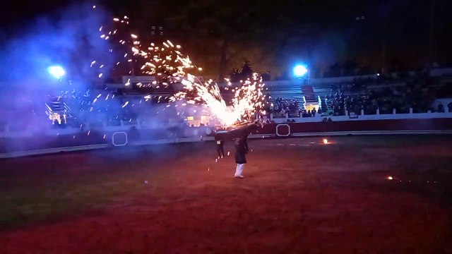 SAINT-VINCENT-DE-TYROSSE. Spectacle Landes Emotions 6