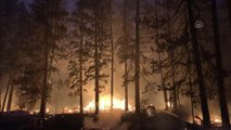ABD'nin California eyaletinde 3 haftadır devam eden orman yangını tekrar büyümeye başladı