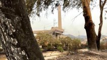 Son Dakika! Bakan Dönmez'den termik santraldeki yangınla ilgili açıklama: Santrali ve sağlığı tehdit eden bir durum yok