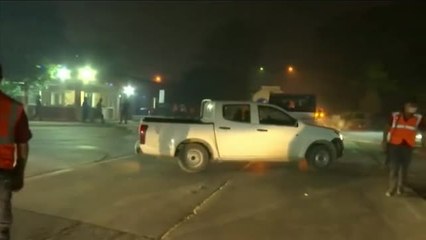 Una mariposa sobrevive a los incendios de Turquía