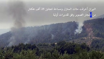 فرق الإطفاء تكافح حريقين ضخمين في اليونان