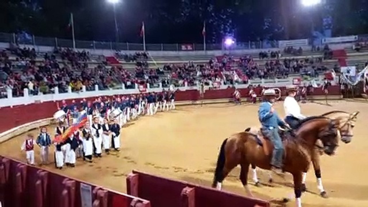 SAINT-VINCENT-DE-TYROSSE. Spectacle Landes Emotions 1