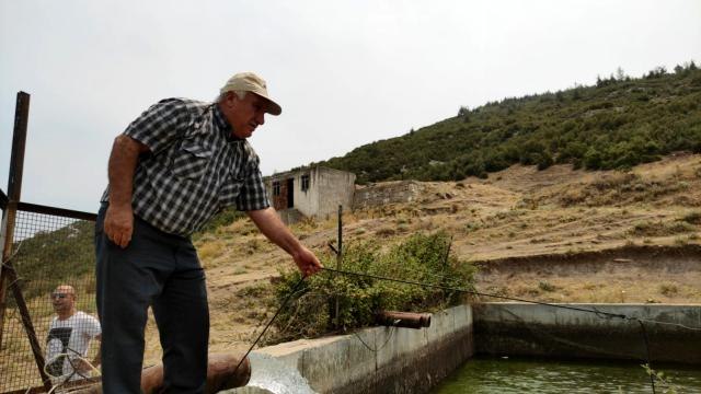 Son dakika haber! Orman yangını hızlı müdahaleyle büyümeden söndürüldü