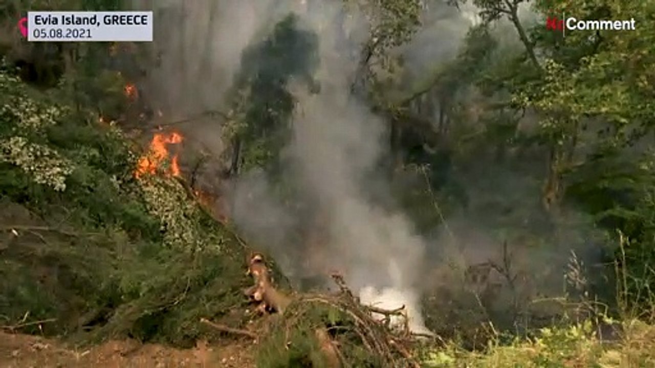 Feuer in Griechenland: Dutzende neue Brandherde pro Tag