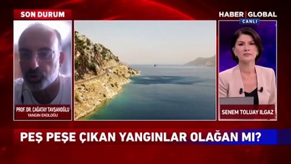 Kahreden açıklama! Yanan alanlar eski haline ne zaman döner?