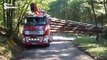 10 Extreme Dangerous Fastest Logging Wood Truck Operator, Heavy Equipment Chainsaw u0026 Sawmill Machin[1]