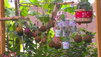 bd-moviles-plantas-050821