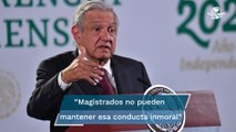 Una vergüenza la crisis en TEPJF, que renuncien todos: AMLO