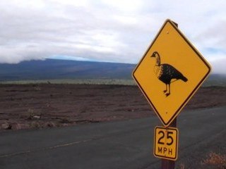 Hawaii Volcanoes National Park
