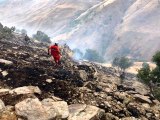 Bingöl'de ormanlık alandaki yangın büyümeden söndürüldü