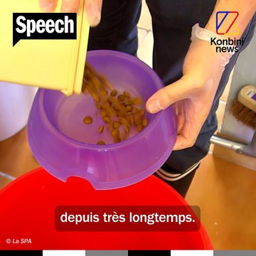 Abandon d’animaux : le cri d’alerte de la SPA | Le Speech de Carole Retrou, responsable du refuge de Chamarande