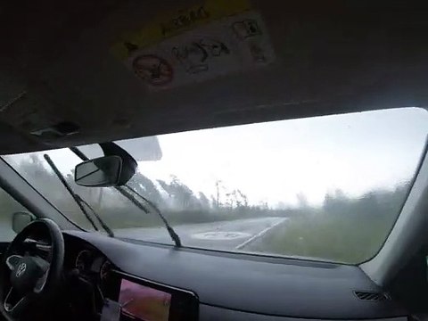 Trees Felled by Wild Winds