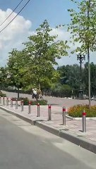 Stoller Pushed by Gliding Roller Skater