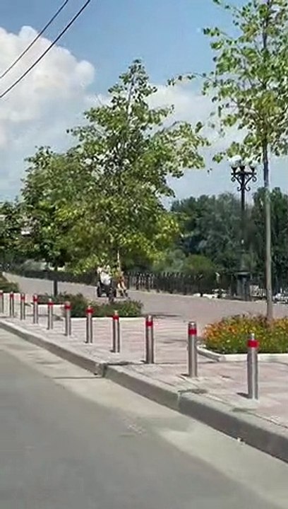 Stoller Pushed by Gliding Roller Skater