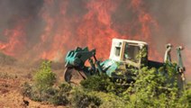 Muğla'da zeytinlik ve ormanlık alandaki yangınlara 6 tutuklama