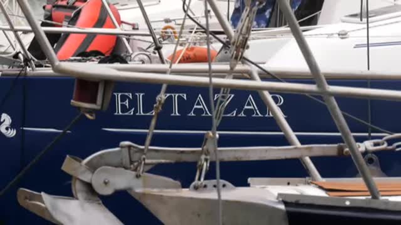 Varias orcas embisten a tres embarcaciones en Barbate (Cádiz)