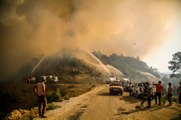 Son Dakika! Bakan Çavuşoğlu, orman yangınlarıyla ilgili güzel haberi verdi: Düne göre daha iyi durumdayız, yarın rüzgar hızını kesecek