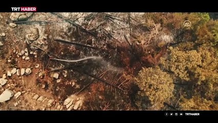 Alevlere karşı zamanla yarışan 'ormanın kahramanları'