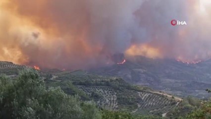 Son dakika... Yunanistan'da alevler Olympia antik kentine yaklaşıyorEğriboz Adası'nda yangın sürüyor