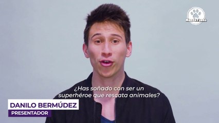 Un gesto con la naturaleza: grupo de jóvenes devuelven una tortuga gigante al mar