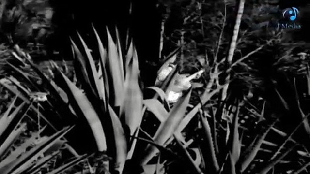 كلمات أغاني نجاة الصغيرة: أغنية آه لو تعرف مكتوبة