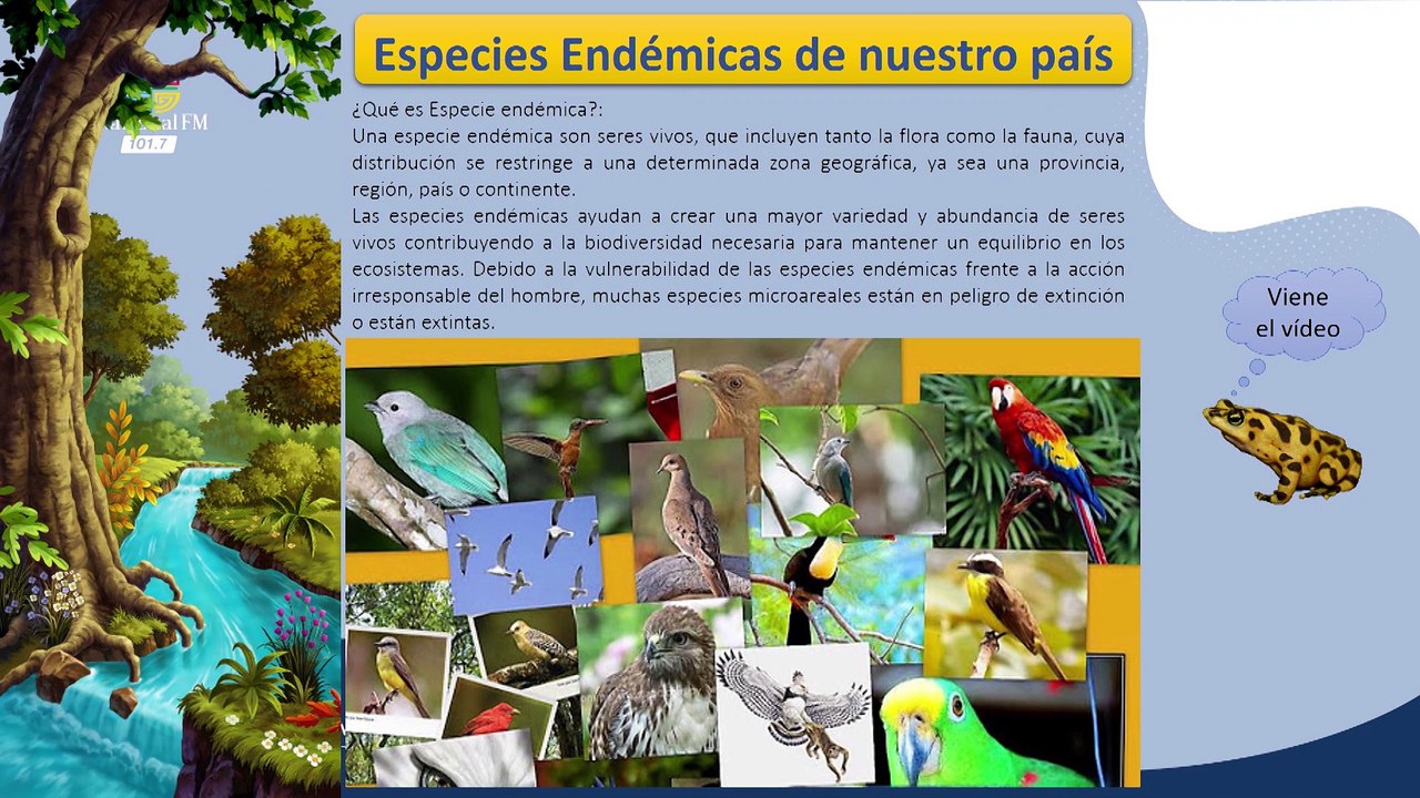 10° Media | Ciencias Naturales 05-08-2021