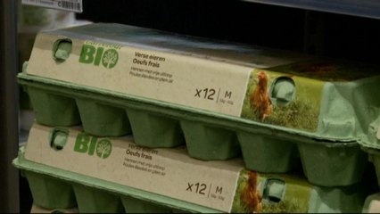 Llamativa campaña busca descontaminar un río con cáscaras de huevo