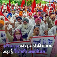 SAD Leader Harsimrat Kaur Badal Gives Wheat Stalk To Hema Malini Amid Farmers Protest