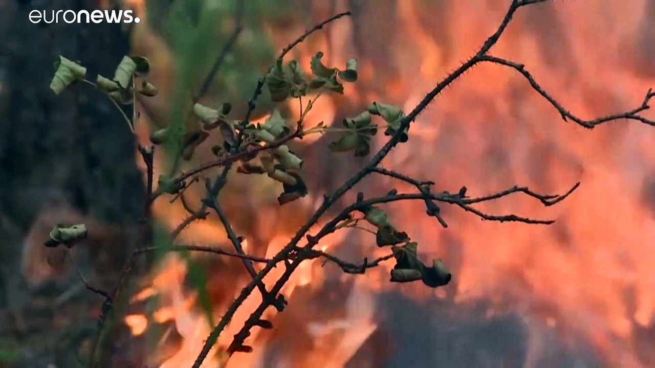 Umweltkatastrophe in Sibirien mit Rekordhitze und anhaltenden Waldbränden