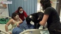 شاهد: كلاب مدربة للترفيه عن الأطفال المرضى في مستشفى في تشيلي