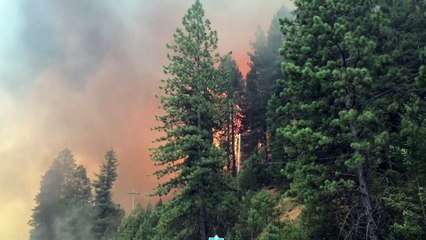 En Californie, de nouveaux ordres d'évacuations face au gigantesque incendie Dixie Fire
